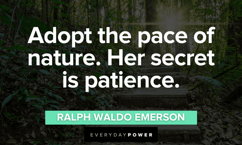“Adopt the pace of nature. Her secret is patience.” - Ralph Waldo Emerson Forest quotes about nature