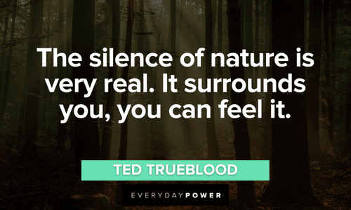 “The silence of nature is very real. It surrounds you, you can feel it. – Ted Trueblood Forest quotes about the silence of nature