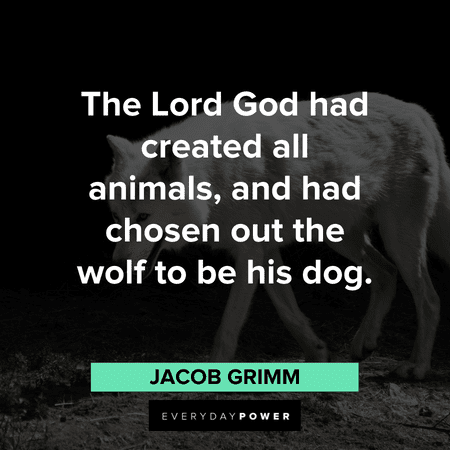 “The Lord God had created all animals, and had chosen out the wolf to be his dog.” – Jacob Grimm funny Wolf Quotes