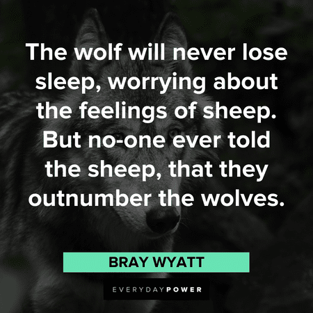 “The wolf will never lose sleep, worrying about the feelings of sheep. But no-one ever told the sheep, that they outnumber the wolves.” - Bray Wyatt sheep and Wolf Quotes