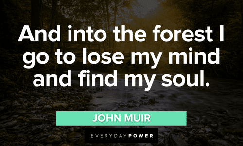 “And into the forest I go to lose my mind and find my soul.” - John Muir Forest quotes and sayings