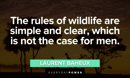 “The rules of wildlife are simple and clear, which is not the case for men.” - Laurent Baheux Forest quotes about animals
