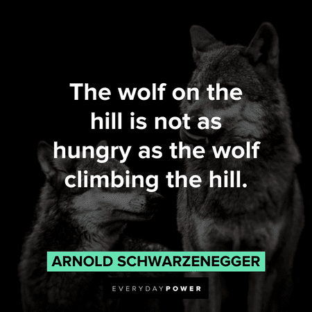 “The wolf on the hill is not as hungry as the wolf climbing the hill.” - Arnold Schwarzenegger inspiring Wolf Quotes