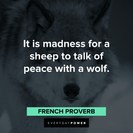 “It is madness for a sheep to talk of peace with a wolf.” – French proverb short Wolf Quotes and proverbs