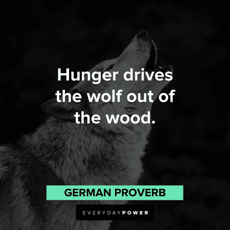 “Hunger drives the wolf out of the wood.” - German Proverb Wolf Quotes and proverbs