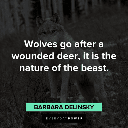 “Wolves go after a wounded deer, it is the nature of the beast.” - Barbara Delinsky Wolf Quotes about their nature