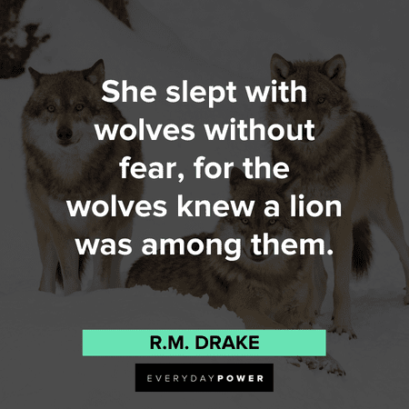 “She slept with wolves without fear, for the wolves knew a lion was among them.” ― R.M. Drake Wolf Quotes about fear