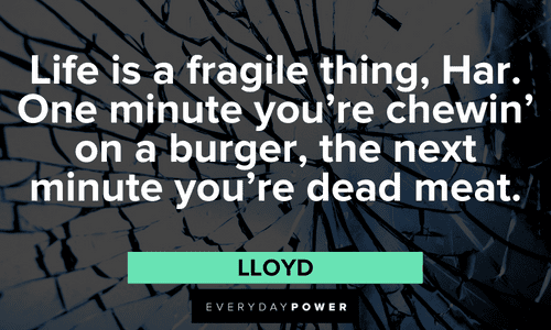 “Life is a fragile thing, Har. One minute you're chewin' on a burger, the next minute you're dead meat.” - Lloyd Dumb and Dumber quotes about life