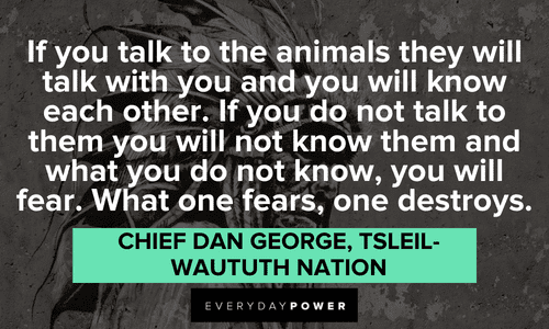 "If you talk to the animals they will talk with you and you will know each other. If you do not talk to them you will not know them and what you do not know, you will fear. What one fears, one destroys." - Chief Dan George, Tsleil-Waututh Nation Indigenous People’s Quotes about animals