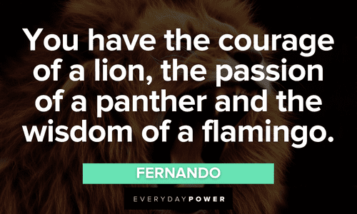 “You have the courage of a lion, the passion of a panther and the wisdom of a flamingo.” – Fernando from Mamma Mia Quotes from fernando