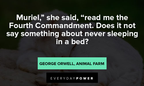 Animal Farm Quotes About Sleeping