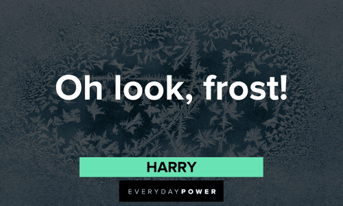 “Oh look, frost!” - Harry short memorable Dumb and Dumber quotes