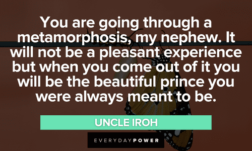 “You are going through a metamorphosis, my nephew. It will not be a pleasant experience but when you come out of it you will be the beautiful prince you were always meant to be.” - Uncle Iroh Uncle Iroh quotes about his nephew