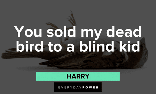 “You sold my dead bird to a blind kid?” - Harry short Dumb and Dumber quotes from harry