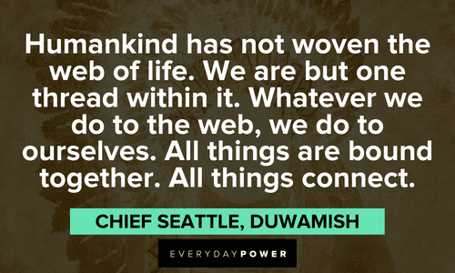 "Humankind has not woven the web of life. We are but one thread within it. Whatever we do to the web, we do to ourselves. All things are bound together. All things connect." - Chief Seattle, Duwamish Indigenous People’s Quotes about humankind