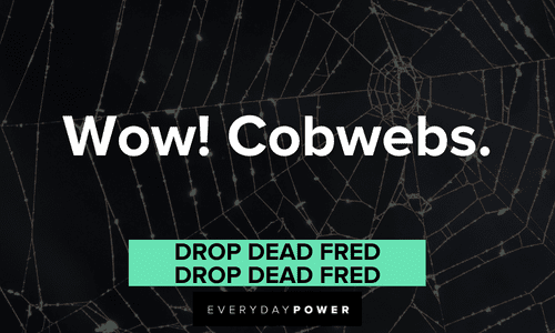 “Wow! Cobwebs.” — Drop Dead Fred, Drop Dead Fred short Drop Dead Fred quotes about cobwebs