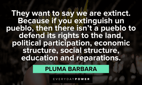 “They want to say we are extinct. Because if you extinguish un pueblo, then there isn't a pueblo to defend its rights to the land, political participation, economic structure, social structure, education and reparations.” - Pluma Barbara powerful Indigenous People’s Quotes