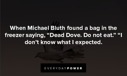 arrested development quotes about I don't know what I expected