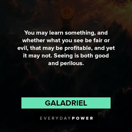 Lord of the Rings quotes about learn something