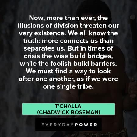Black Panther quotes about the illusions