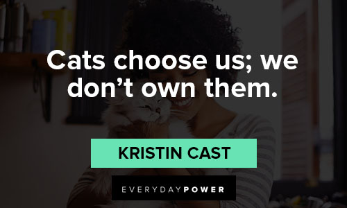 cat quotes about cats choose us