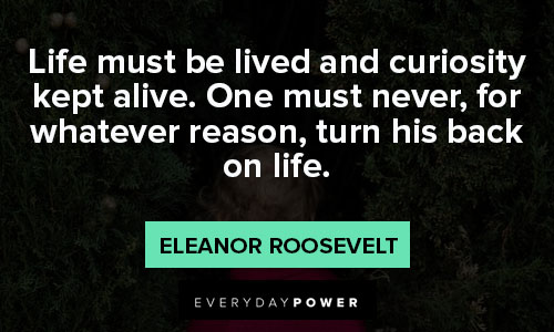 curiosity quotes about life must be lived and curiosity kept alive