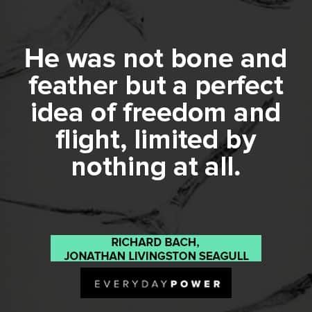 Freedom Jonathan Livingston Seagull quotes