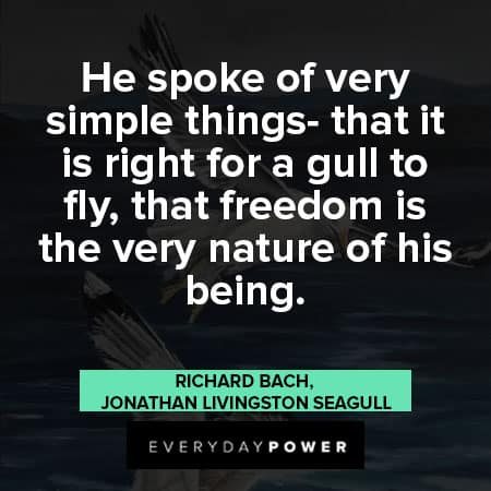 Jonathan Livingston Seagull quotes that freedom is the very nature of his being