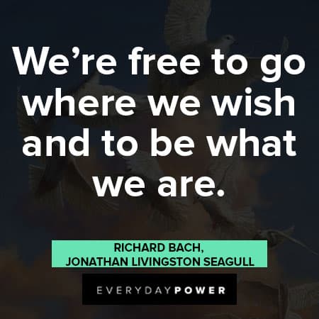 Jonathan Livingston Seagull quotes to go where we wish and to be what we are