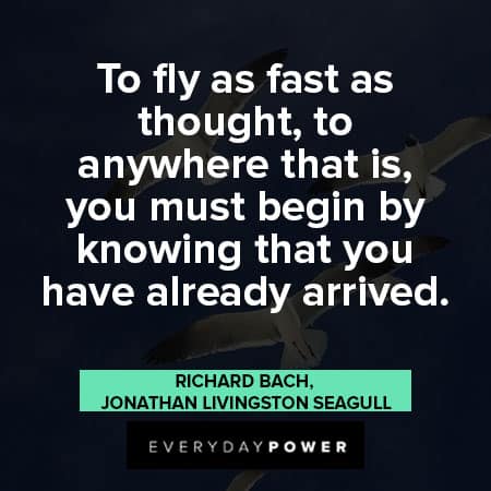 Jonathan Livingston Seagull quotes to fly as fast as thought