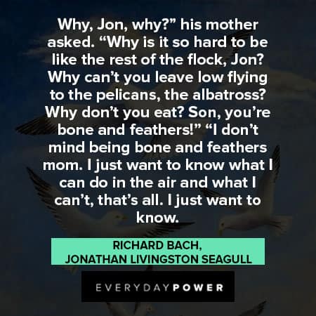 Jonathan Livingston Seagull quotes from Richard Bach