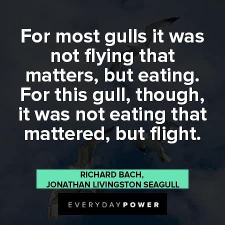 Jonathan Livingston Seagull quotes about flight