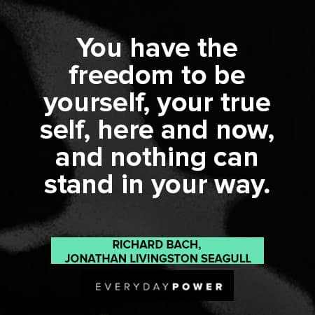 Jonathan Livingston Seagull quotes about stand in your way