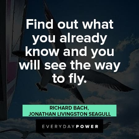Jonathan Livingston Seagull quotes about find out what you already know and you will see the way to fly