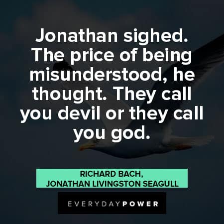 Jonathan Livingston Seagull quotes about the price of being misuderstood