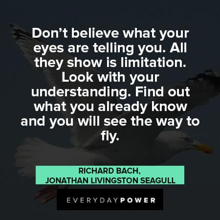 Jonathan Livingston Seagull quotes about find out what you already know and you will see the way to fly