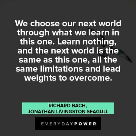 Jonathan Livingston Seagull quotes about limitations