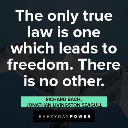 Jonathan Livingston Seagull quotes about freedom