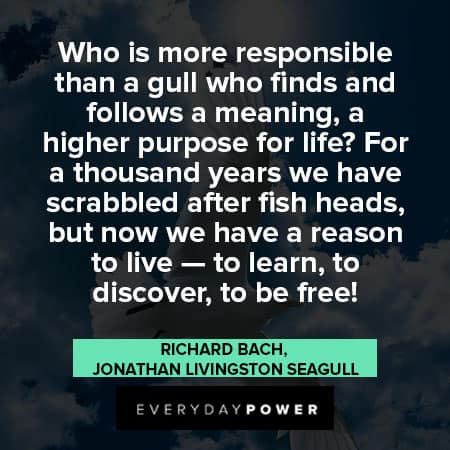 Jonathan Livingston Seagull quotes abour responsibility