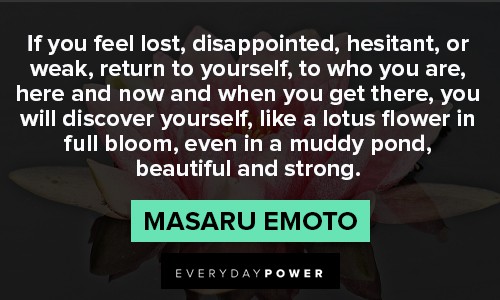 lotus flower quotes about discover yourself