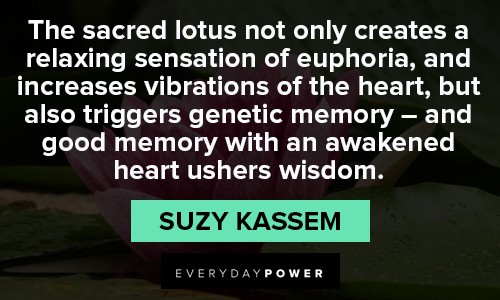 lotus flower quotes about incresing vibrations of the heart