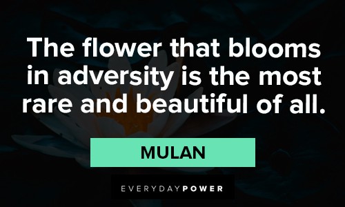 lotus flower quotes about the flower