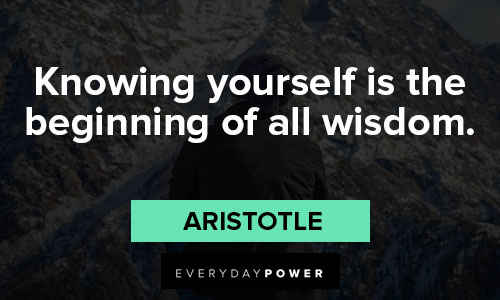 meaningful quotes knowing yourself is beginning of all wisdom
