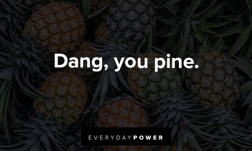 "Dang, you pine." - Unknown sweet Pineapple Quotes about dand, you pine