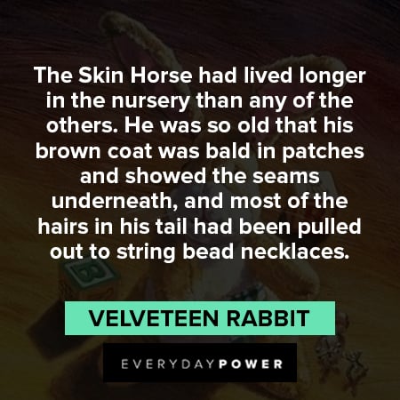 Velveteen Rabbit quotes about the skin horse had lived longer in the nursery