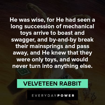 wise Velveteen Rabbit quotes