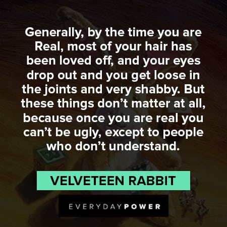 Velveteen Rabbit quotes to people who don't understand