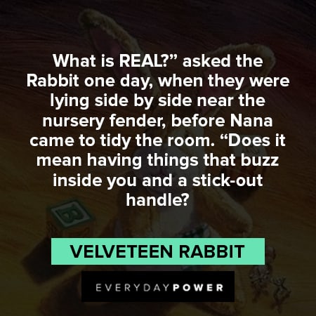 Velveteen Rabbit quotes about the nursery fender