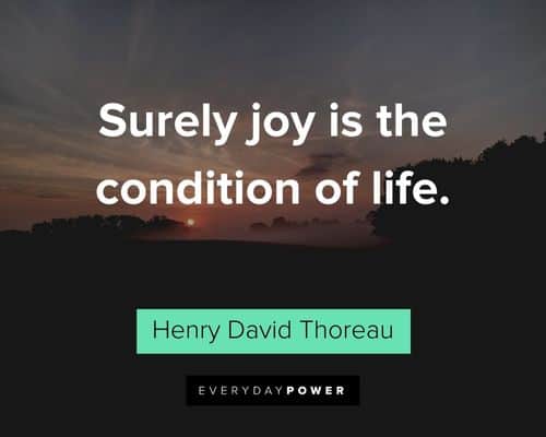 Henry David Thoreau Quotes about surely joy is the condition of life