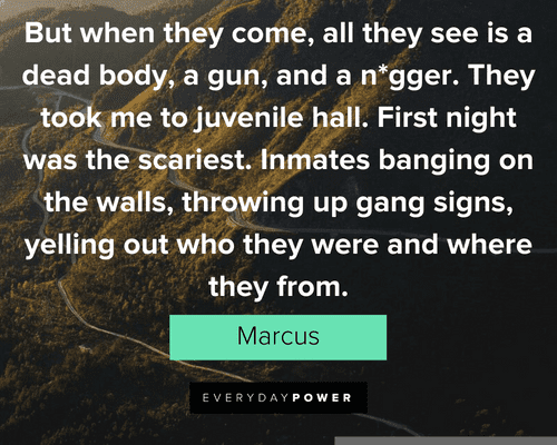 Freedom Writers quotes about throwing up gang signs, yelling out who they were and where they from